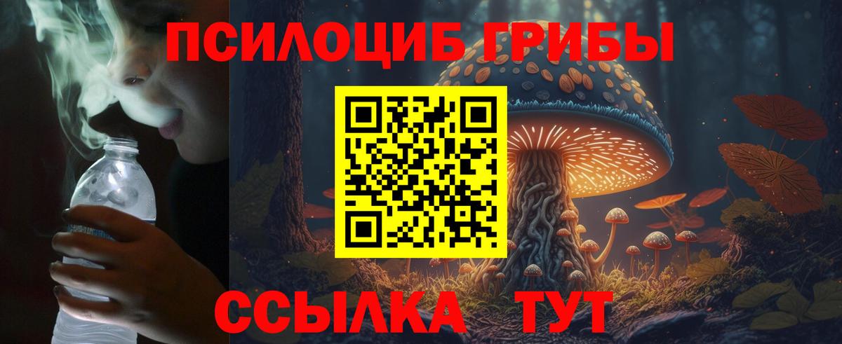 Татарск  Псилоцибиновые грибы прущие грибы  купить   Вход с VPN 